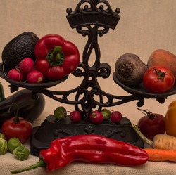 Anzucht von Chili, Tomaten, Paprika, und Kartoffeln